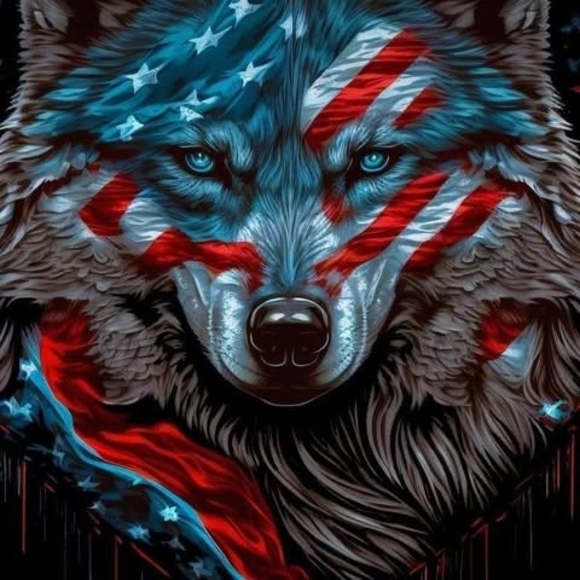 Meet your Posher, Adam - Picture 1 of 1